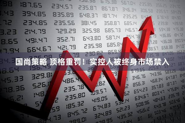 国尚策略 顶格重罚！实控人被终身市场禁入