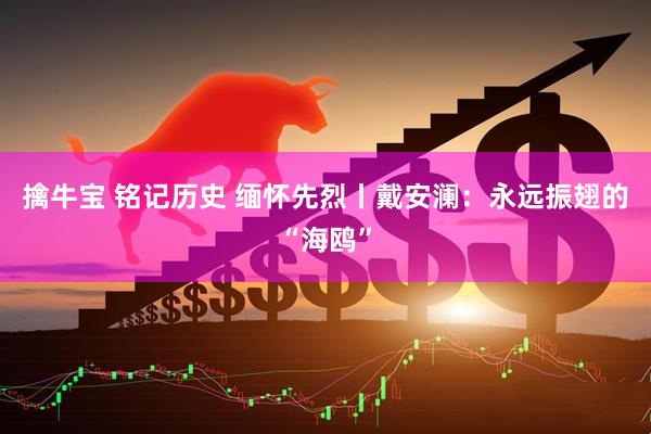 擒牛宝 铭记历史 缅怀先烈丨戴安澜：永远振翅的“海鸥”
